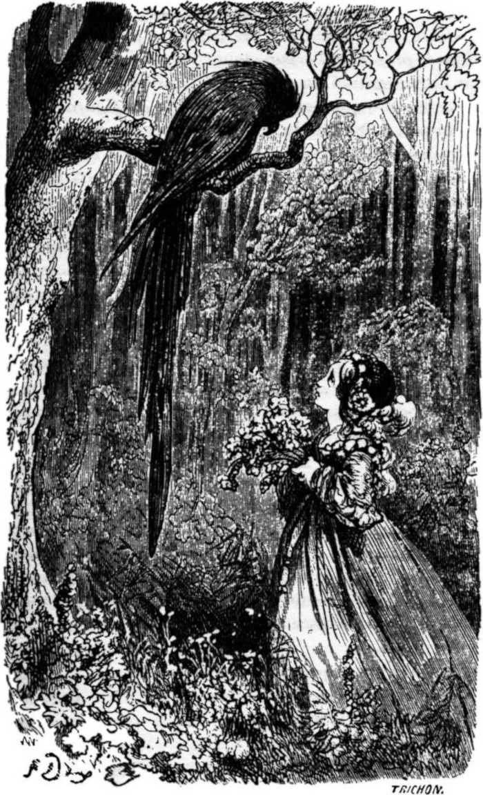 Countess of Ségur, Nouveaux contes de fées (Hatchette)