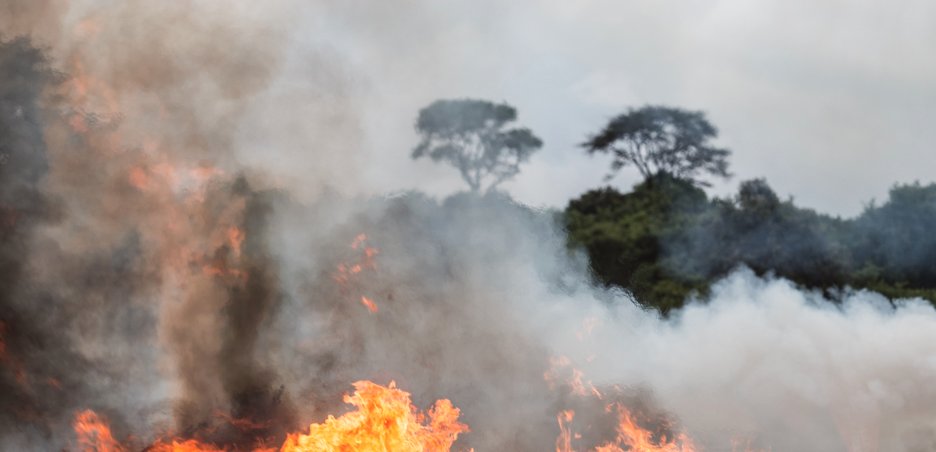 Mwangi Kirubi, photo of ivory burning in Nairobi. Cropped.